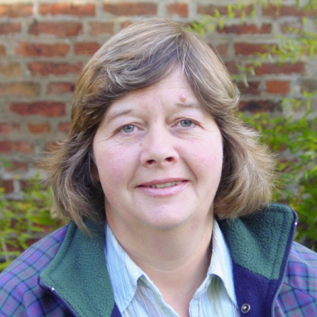 Clare Harrison