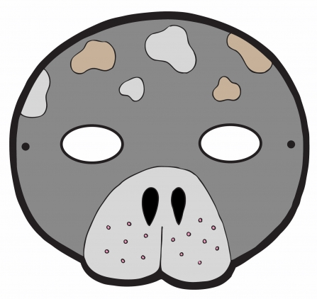 Seal mask colour