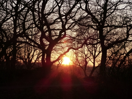 Whisby Nature Park