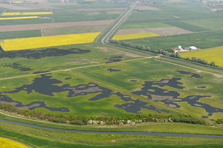 Willow Tree Fen aerial