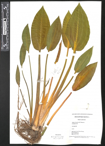 Joseph Banks Society