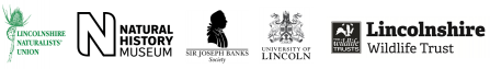 Logo banner