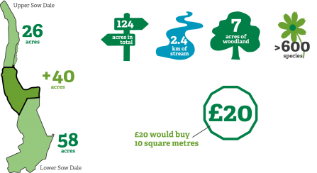 Sow Dale Infographics