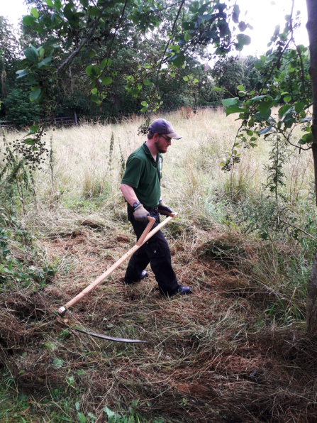 Scything demo