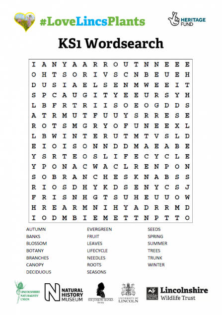 KS1 Wordsearch