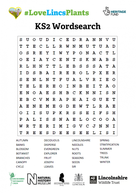 KS2 Wordsearch