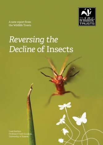 Front cover of the report 'Reversing the Decline of Insects'