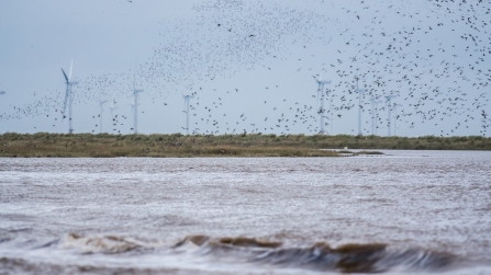 Gibraltar Point