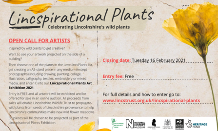 Lincspirational Plants call for artists