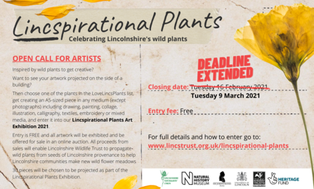 Lincspirational plants postcard 2