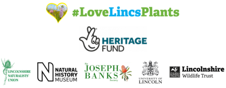 LLP partner logos updated