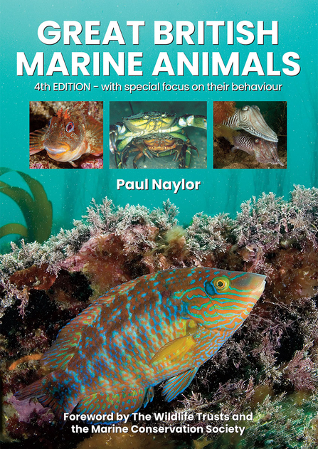 Great British Marine Animals 4th edition cover