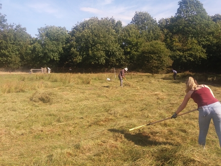 Volunteers raking hay at Moor Closes