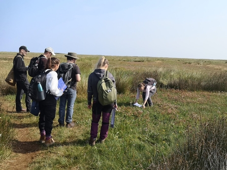 Group of people learning about coastal plants