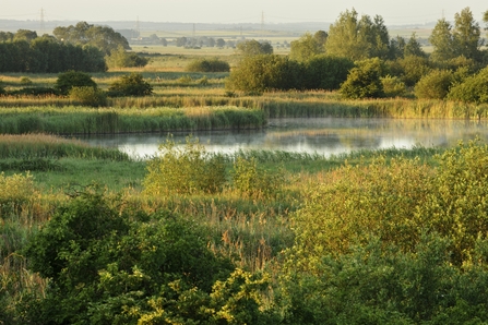 Fens in Ireland FactsheetIrish Peatland Conservation Council