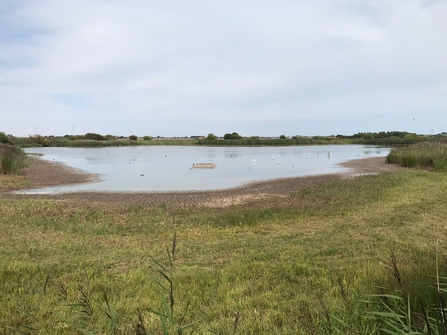 Low water levels at Huttoft Pit (c) Garry Wright