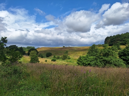 Snipe Dales in July