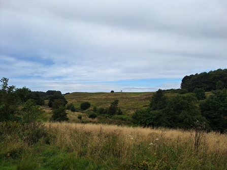 Snipe Dales in August