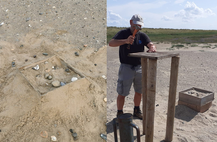 Boxed and double stacked oystercatcher nest at Gibraltar Point