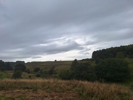 Snipe Dales in September