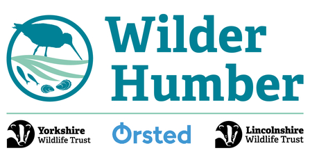 Wilder Humber logo