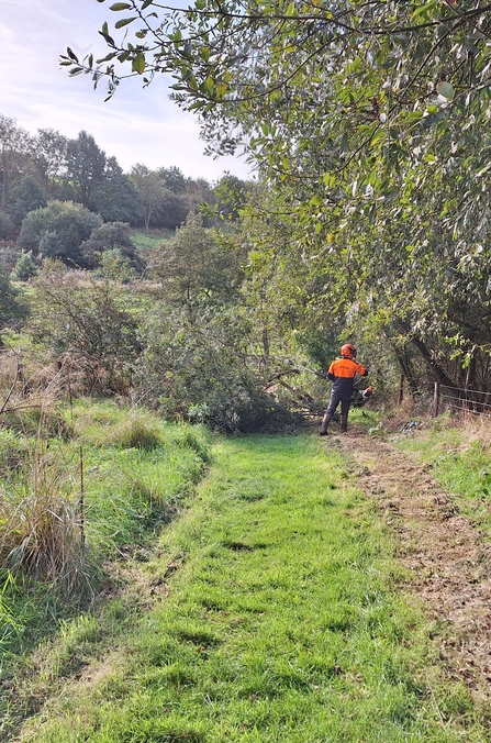 James cutting willow