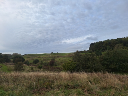 Snipe Dales in October