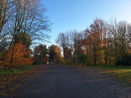 Snipe dales car park autumn