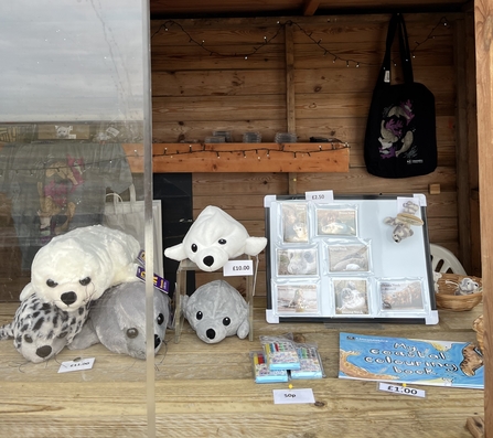 Donna Nook shop