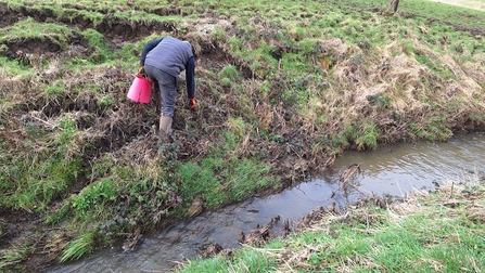 James planting willow on the stream bank.