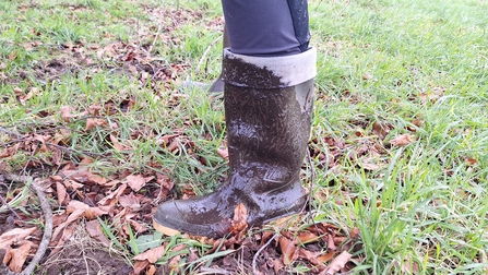 muddy wellie