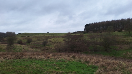 Snipe Dales in February