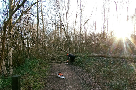 Clearing fallen trees from the path at Whisby