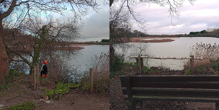 Whisby wardens diary January 2024 - Grebe Lake viewpoint before and after