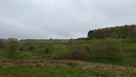 Snipe Dales in April