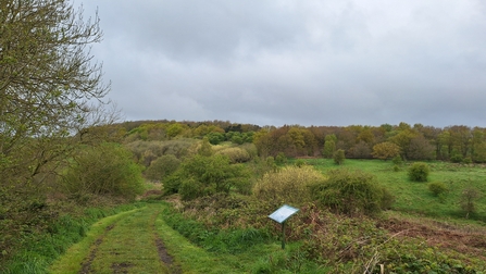 Snipe Dales Nature Reserve April