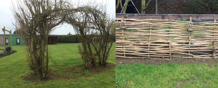 Natural arch and fence in the grounds of Kirkby La Thorpe Primary Academy
