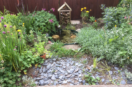Pond and wildlife area in the grounds of Kirkby La Thorpe Primary Academy