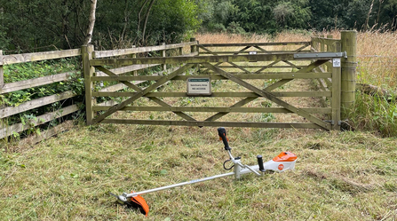 A battery-operated strimmer lying on cut grass at Whisby Nature Park