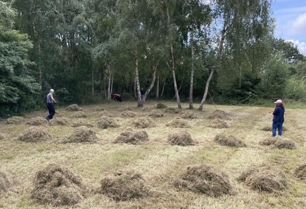 Volunteers raking up at Whisby