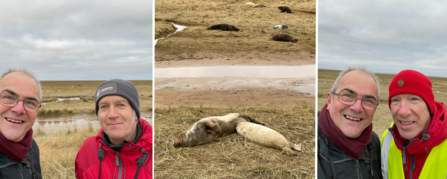 Donna Nook podcast episode triple pic