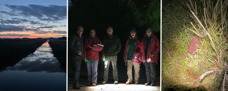 Trust at night podcast triple pic