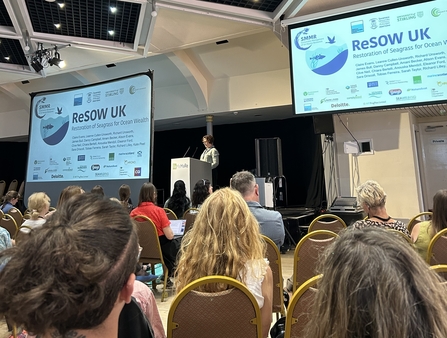 ReMeMaRe conference 2025