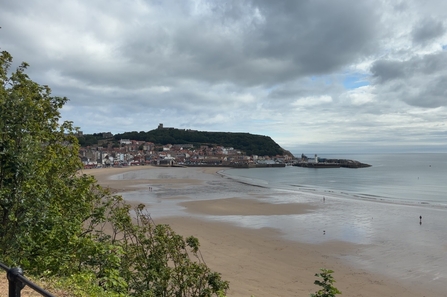 Scarborough