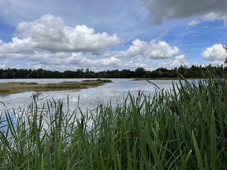 Whisby Nature park