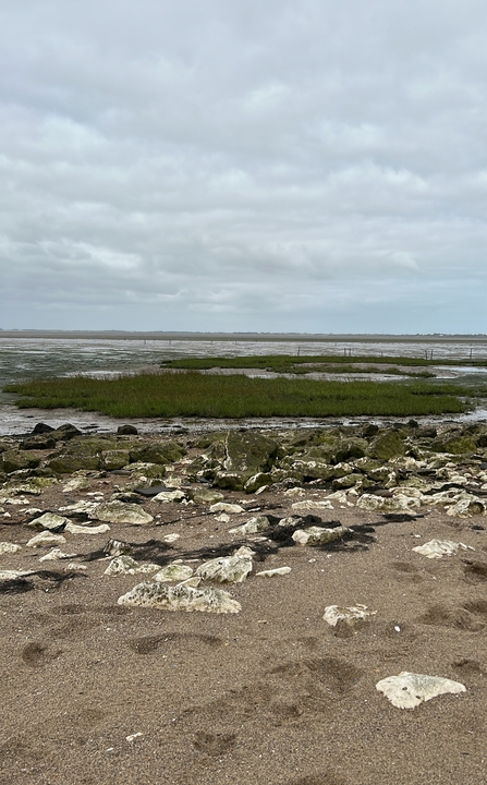 Spurn Point