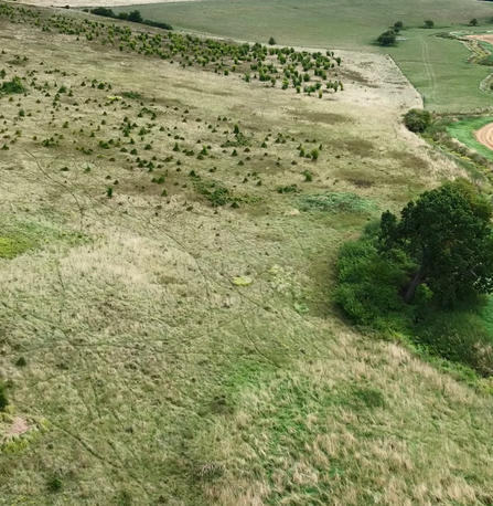 Drone shot of Hawthorpe showing neighbouring arable