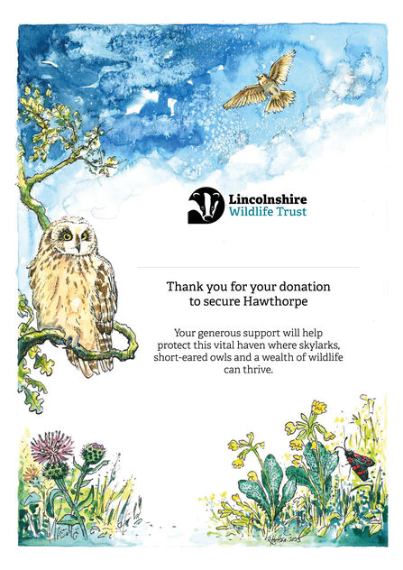 Certificate featuring hand-drawn images of short-eared owl, skylark and cowslips