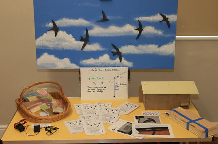 Swift action meeting for the swift box project