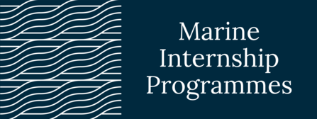 Marine Internship Programmes logo